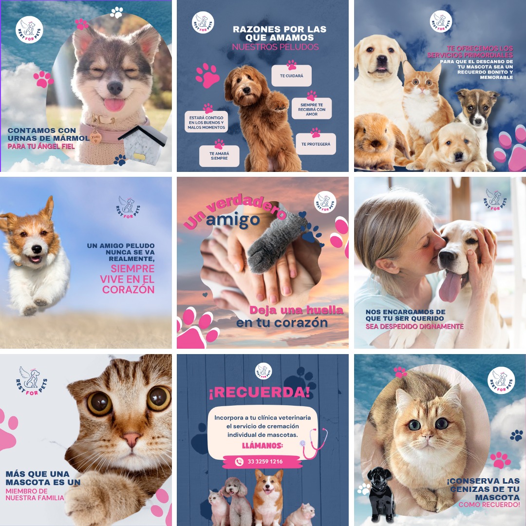 Rest For Pets | Cliente que tomó el servicio de manejo de redes sociales