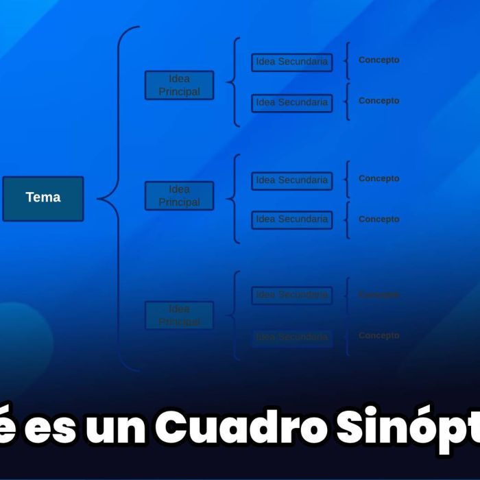 ¿Qué es un Cuadro Sinóptico?